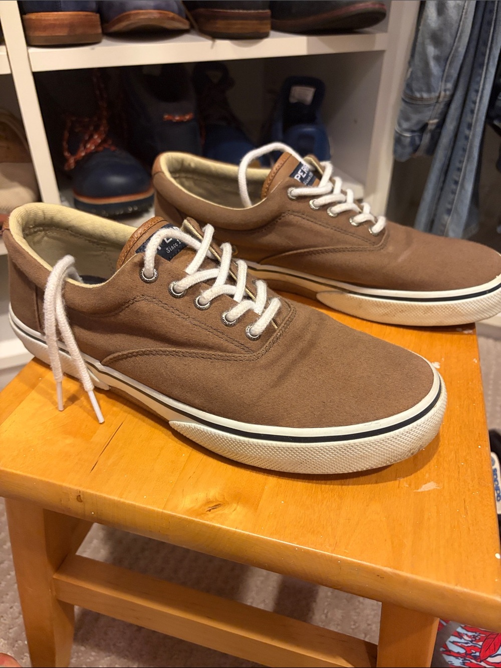 Sperry Brown Canvas Low-Top Sneakers with White Laces